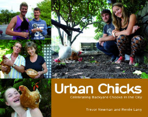 Urban Chicks carousel